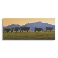 Studell ispaši krave seoske livade planine životinje i insekti galerija fotografija omotana platno tiskanje zidne