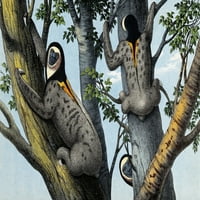 Ljenjivci sa žutim grlom na drveću ispis plakata iz mumbo-a